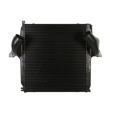 Imagem de Intercooler NISSENS 96972