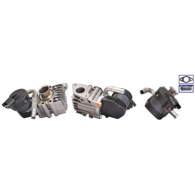 Imagem de ELSTOCK 73 0206 Válvula EGR elétrico com juntas BMW: 3 Touring, 5 Sedan