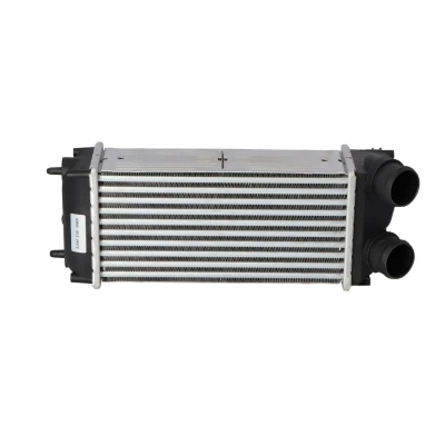 Imagem de NRF 30860 Intercooler CITROËN: C4 I Grand Picasso