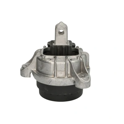 Imagem de DELPHI TEM253 Suporte, motor traseira BMW: 5 Touring, Sedan