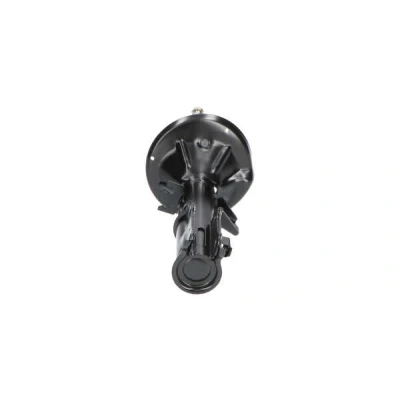 Imagem de KAVO PARTS SSA 3004 Amortecedor Eixo dianteiro, lado direito Pressão do gás Tubo duplo com assento de mola cavilha em cima HYUNDAI: Getz