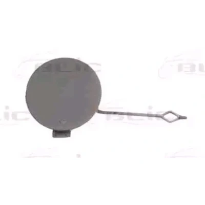 Imagem de Elementos do para choques BLIC 5513 00 0070920P