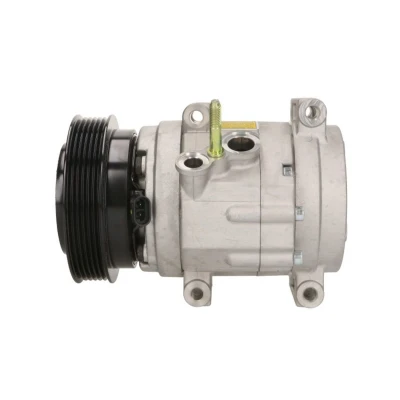Imagem de DELPHI CS20322 compressor SP17 PAG 46 com óleo de OPEL: Antara, CHEVROLET: Captiva