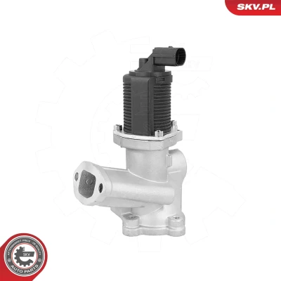 Imagem de Válvula de recirculação dos gases escape ESEN SKV 14SKV314