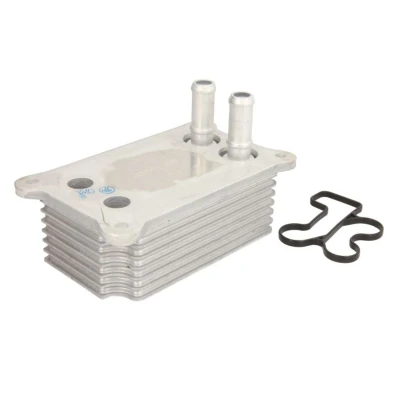 Imagem de THERMOTEC D4G004TT Radiador de Óleo FORD: Transit Mk5 Van, MONDEO 3 Kombi