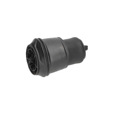 Imagem de KAVO PARTS SAS 10024 Mola pneumática, chassis Eixo traseiro