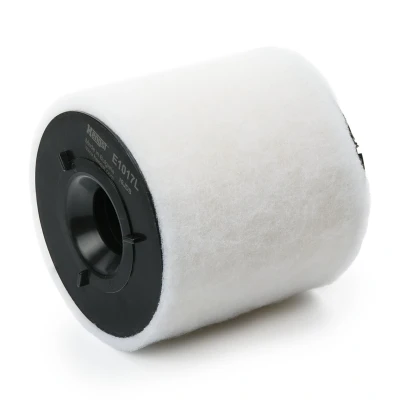 Imagem de HENGST FILTER E1017L Filtro de ar 170 150 Cartucho filtrante SEAT: Ibiza 4, 4 Sportcoupe, ST, VOLKSWAGEN: Polo V Hatchback
