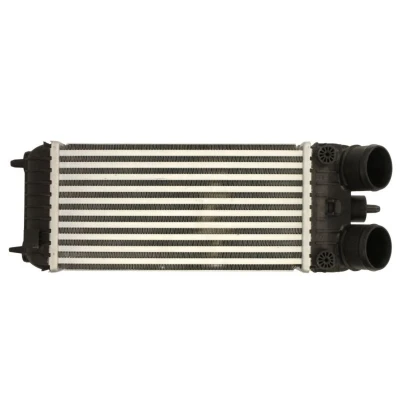Imagem de THERMOTEC DAP007TT Intercooler PEUGEOT: 207 Hatchback
