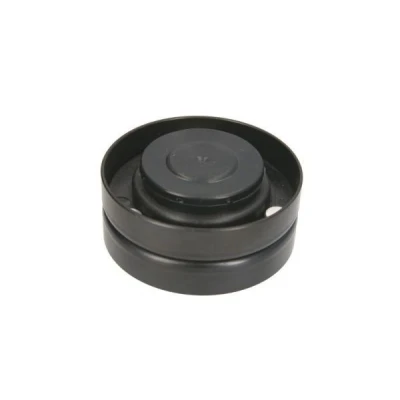 Imagem de BTA B05 AG 078 Rolo tensor, correia trapezoidal