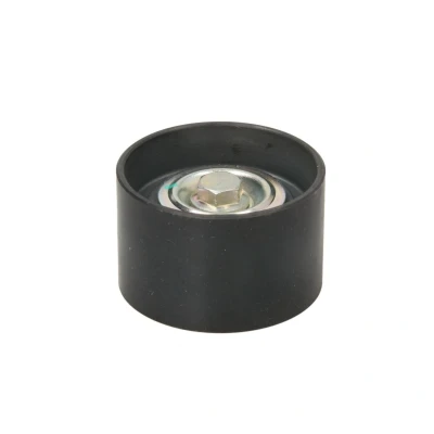 Imagem de DAYCO APV1099 Polia de Desvio