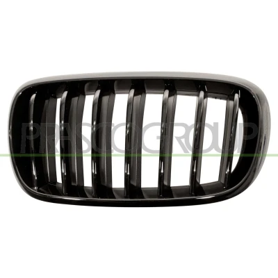 Imagem de PRASCO BM8272004 Grelha de Radiador esquerda liso preto BMW: X5