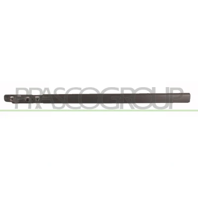 Imagem de PRASCO RN3251404 Friso Porta RENAULT: CLIO 3