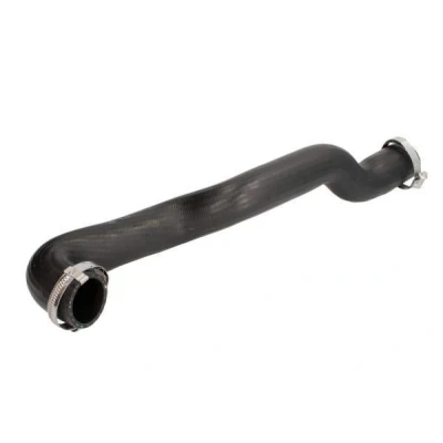 Imagem de Mangueira de ar reforço THERMOTEC DCI040TT