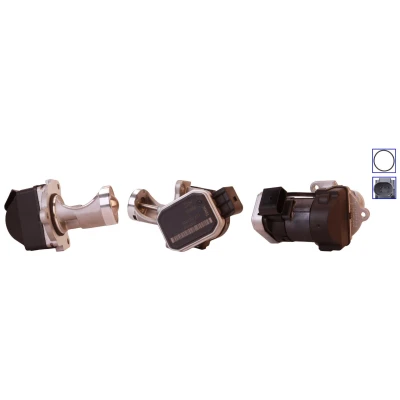 Imagem de ELSTOCK 73 0076 Válvula EGR elétrico com juntas VOLKSWAGEN: Sharan I, SEAT: Alhambra I
