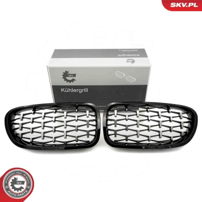 Imagem de ESEN SKV 66SKV191 Grelha de Radiador brilhante, preto, côr prata BMW: 5 Sedan, Touring