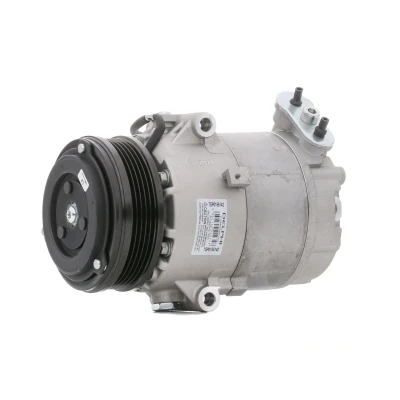 Imagem de DELPHI TSP0155142 compressor 6CVC13 PAG 46 com óleo de OPEL: Astra G Caravan, CC, Meriva A endado, norauto, oscaro, mister auto