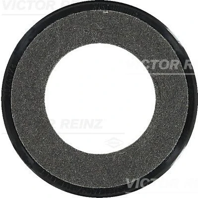 Imagem de REINZ 81 35239 00 Retentor da Árvore de Cames com casquilho montagem RENAULT: CLIO 2, 3, Kangoo I Express, PEUGEOT: 206 Hatchback
