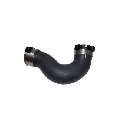 Imagem de BUGIAD 81654 Mangueira Para o Turbocompressor