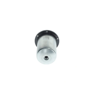 Imagem de BOSCH F 026 402 378 Filtro de Combustível dos tubos 10mm RENAULT: MASTER 3 Kasten, Bus, Trafic 3, NISSAN: NP300 Navara Pick up