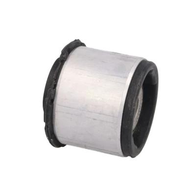 Imagem de DELPHI TD1095W Bucha de Eixo AUDI: A4 B7 Avant, B6 Sedan