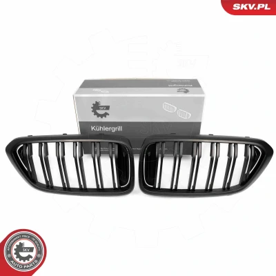 Imagem de ESEN SKV 66SKV211 Grelha de Radiador preto mate