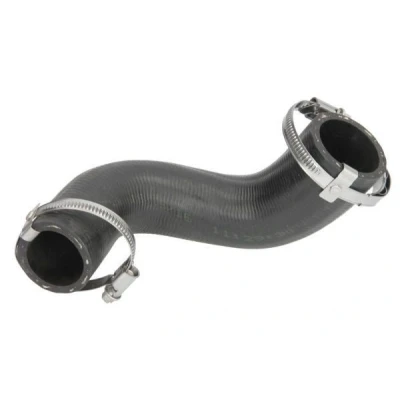 Imagem de THERMOTEC DCG191TT Mangueira Para o Turbocompressor FORD: FIESTA 5
