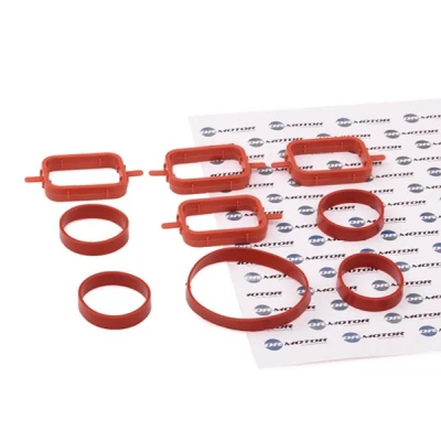 Imagem de DR.MOTOR AUTOMOTIVE DRM0587S Jogo de juntas, colector admissão BMW: 5 Sedan, 3 Touring, ROVER: 75