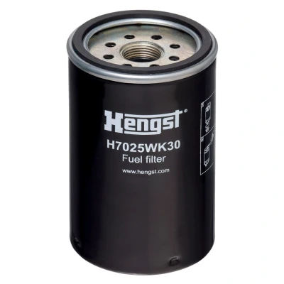 Imagem de HENGST FILTER H7025WK30 Filtro de Combustível aparafusado