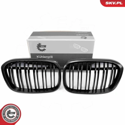 Imagem de ESEN SKV 66SKV241 Grelha de Radiador carbono BMW: X1