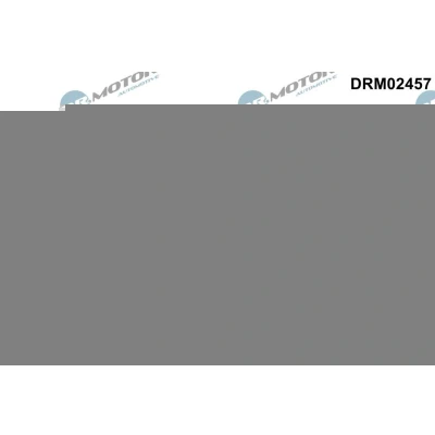 Imagem de Regulador do veio de excêntricos Dr.Motor Automotive DRM02457