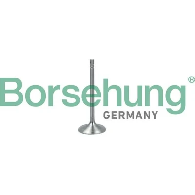 Imagem de Borsehung B19017 Válvula de Admissão VOLKSWAGEN: Golf 6, 4 Variant, Passat B5 GP Sedan, AUDI: A4 B7 Avant, A3 Hatchback, B6 Sedan