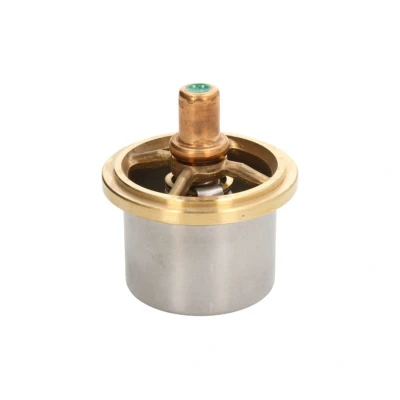 Imagem de DT Spare Parts 6.30309 Termóstato, líquido de refrigeração 69