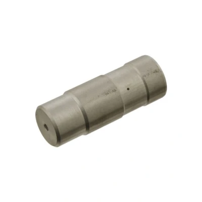 Imagem de Pistão, tensor da corrente de distribuição FEBI BILSTEIN 30416