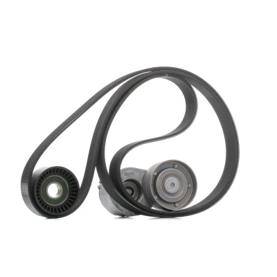 Imagem de SKF VKMA 36031 Jogo de correias trapezoidais estriadas