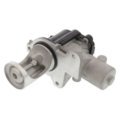 Imagem de MAPCO 83829 Válvula EGR elétrico com junta AUDI: A4 B6 Avant, Sedan, B7 VOLKSWAGEN: Passat B5 GP Variant, Sedan