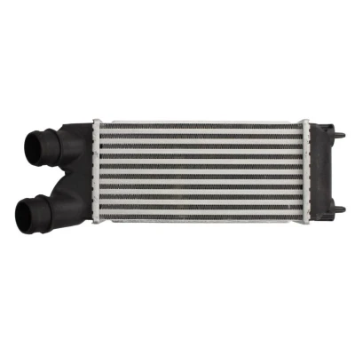 Imagem de THERMOTEC DAC015TT Intercooler PEUGEOT: Partner II Van