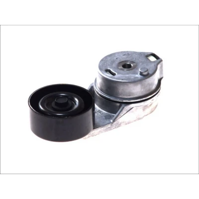 Imagem de SKF VKM 31066 Polia Tensora