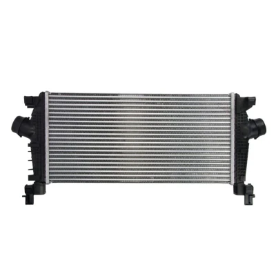 Imagem de THERMOTEC DAX012TT Intercooler 565 284 30