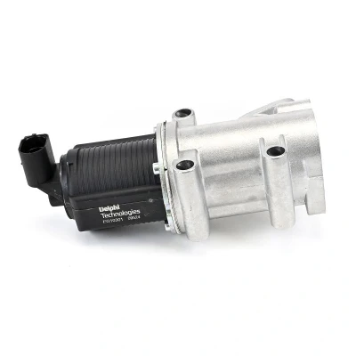 Imagem de DELPHI EG10301 12B1 Válvula EGR com juntas FIAT: Doblo I Cargo, Strada Pick up