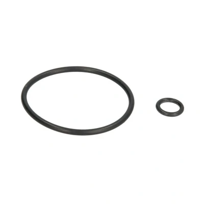 Imagem de Kit de reparação, bomba combustível AJUSA 77012600