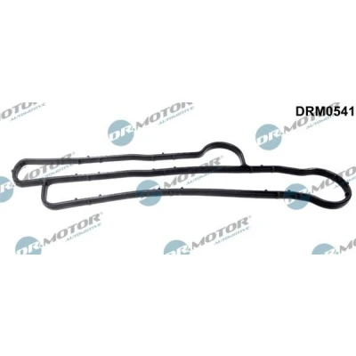 Imagem de DR.MOTOR AUTOMOTIVE DRM0541 Juntas do lado motor