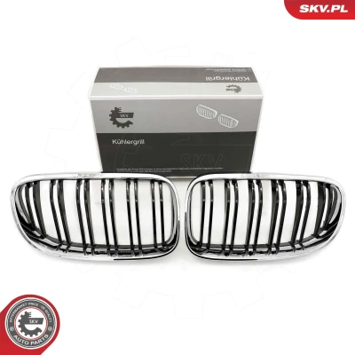 Imagem de ESEN SKV 66SKV118 Grelha de Radiador crómio/negro BMW: 3 Coupe