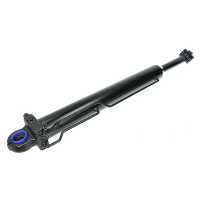 Imagem de FEBI BILSTEIN 33952 Cilindro de levantamento, cabina