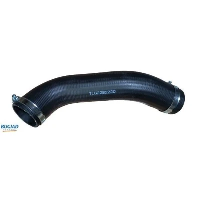 Imagem de BUGIAD 82220 Mangueira Para o Turbocompressor CHEVROLET: Captiva