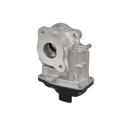 Imagem de DELPHI EG10747 12B1 Válvula EGR elétrico