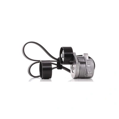 Imagem de SKF VKMA 36104 Jogo de correias trapezoidais estriadas RENAULT: TRAFIC 2 Kasten, MASTER Pritsche/Fahrgestell