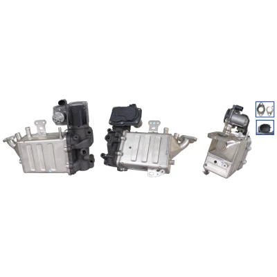 Imagem de ELSTOCK 73 0323 Válvula EGR elétrico com juntas