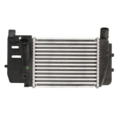 Imagem de Arrefecedor de ar admissão THERMOTEC DA2008TT