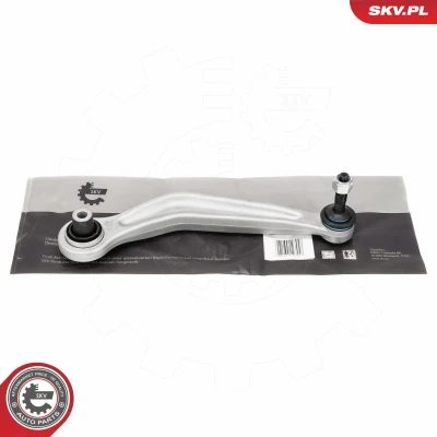 Imagem de Braço oscilante, suspensão da roda ESEN SKV 69SKV194
