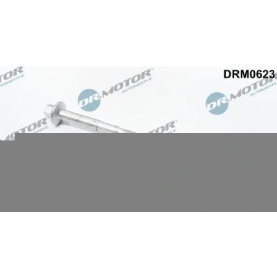Imagem de DR.MOTOR AUTOMOTIVE DRM0623 Parafuso, suporte de injector PEUGEOT: Boxer Van, FIAT: Ducato III Van
